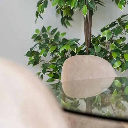 Brittos Avenue In Gaia 公寓 加亚新城